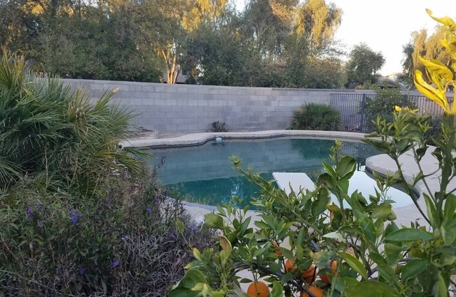 Perfect for large family, comfortable property in sunny Gilbert Arizona.