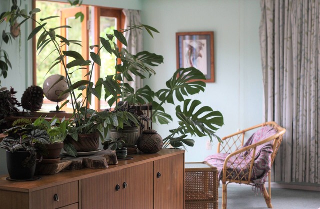 Permaculture Home & Garden, Sunny, Peaceful, Family home, close to Beach & Park