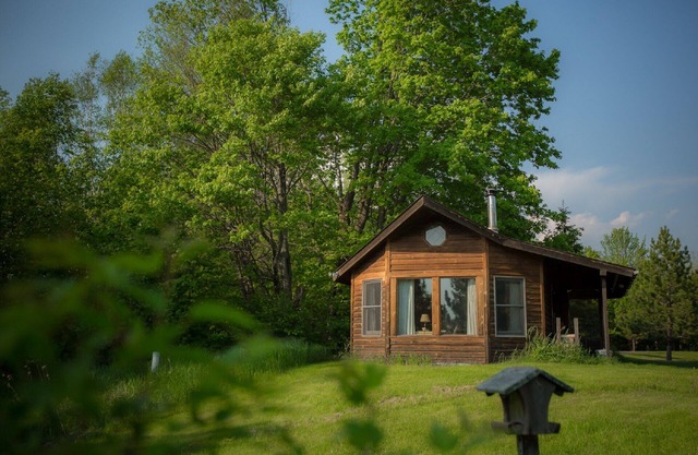 Pet freindly cabin in the meadows on the edge of the forest with big windows