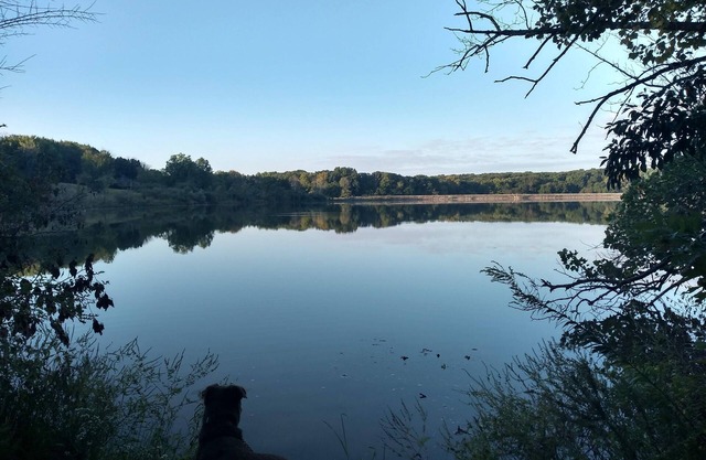 Pet Friendly A-Frame Cabin @ Dawson Lake/Moraine View State Park