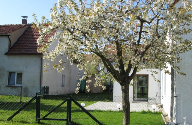 Pfeiffer´s Ferienwohnung