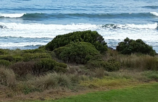 Phillip Island Retreat