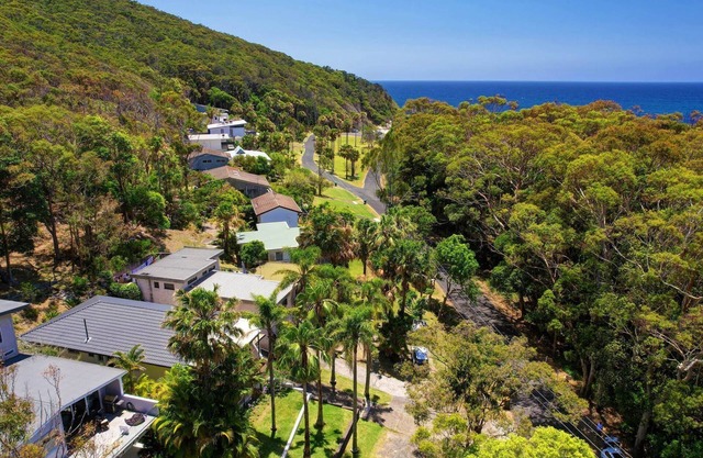 Picturesque Lizzie Palms 1