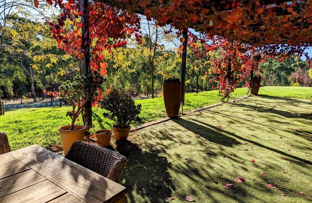 Picturesque, secluded, contemporary, self-contained, complimentary doggy daycare