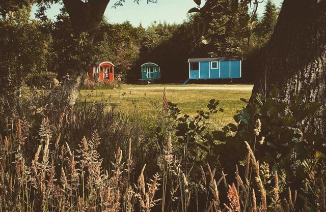 Pipowagens bij Pannenkoekenrestaurant & Camping De Koppenjan 'Een uniek verblijf met kinderspeelboerderij'