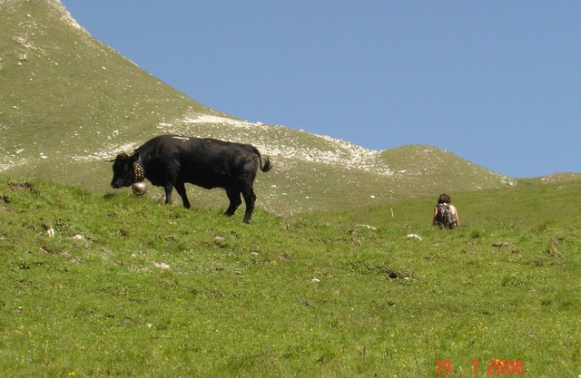 "Plein Soleil" apartment: mountain summer holidays in Saint-Luc -Valais - Switzerland