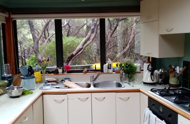Plimmerton Tree Top house (one of two on hillside) - surrounded in manuka forest