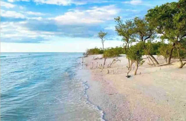 *Pool* 8.5 miles to Honeymoon Island. 4 bdr