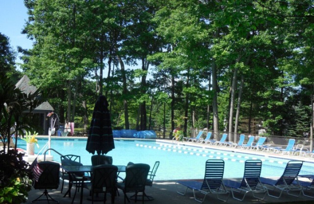 🏊‍♀️ Poolside Fun & Forest Views from Your Private Deck 🌸🌲🌿