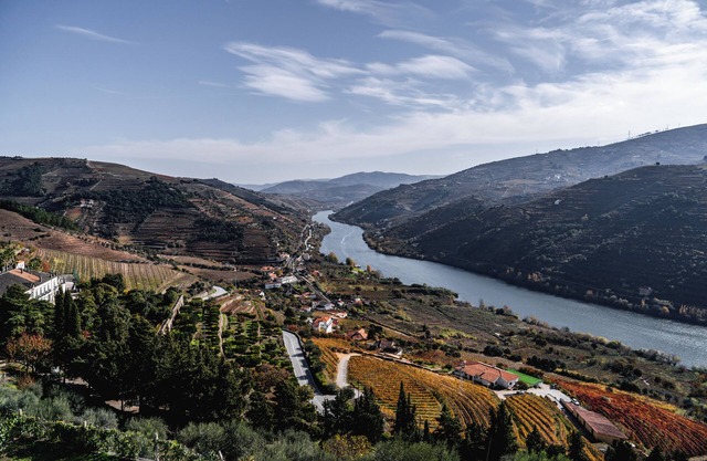 Pouso dos Pousos - A fantastic view of the Douro, to contemplate, slowly