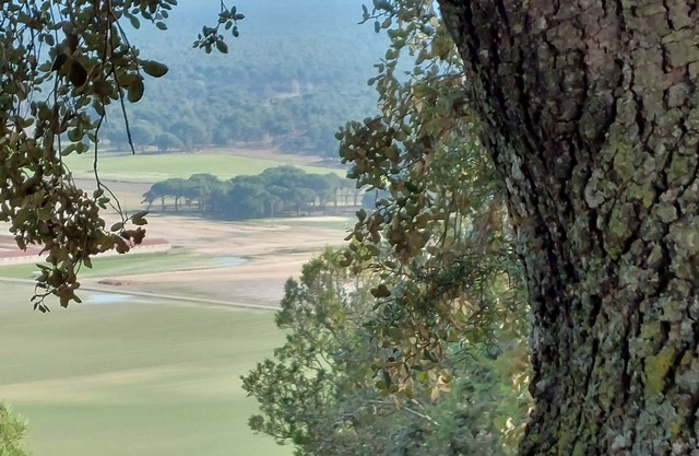Preciosa, Tranquila y Amplia Casa en Tierra de Pinares con Piscina Privada