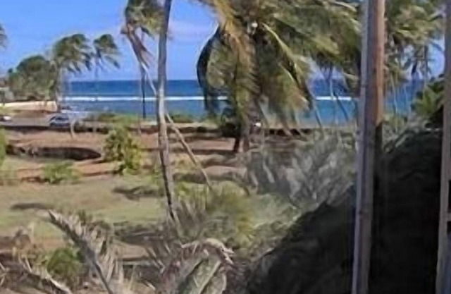 Prince Kuhio 331 Honeymoon Perfect