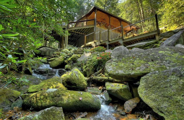 Privacy and Seclusion - Magical Creek Oasis & National Forest
