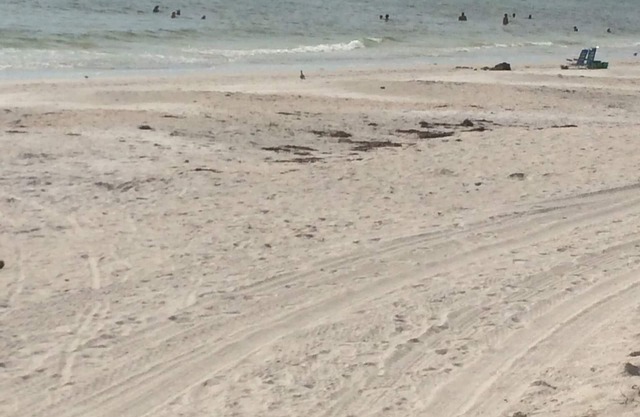 Private Beach 1 Block To Lido Beach. 1/2 Mile St. Armand Circle