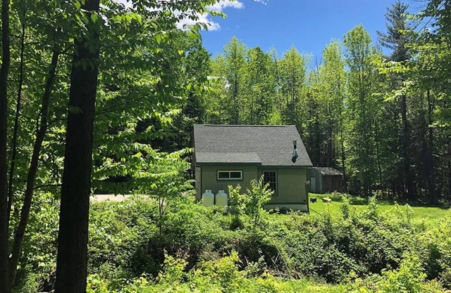 Private Cabin/Pets OK/AC/Minutes to Okemo/Fast WiFi