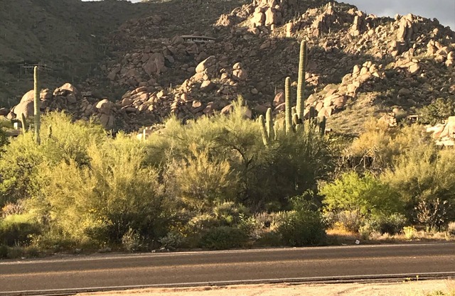 PRIVATE CAVE CREEK RETREAT AT THE BASE OF BLACK MOUNTAIN