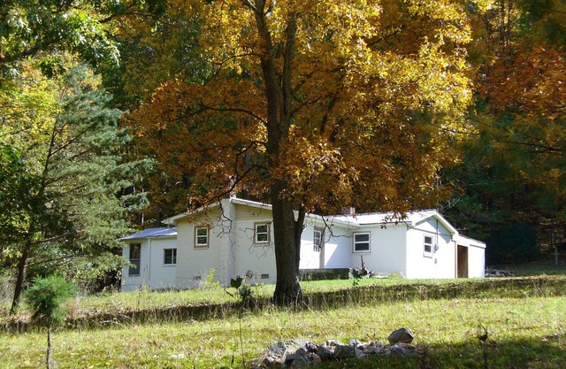 Private, Cozy Cottage Nestled On Peter's Mountain.