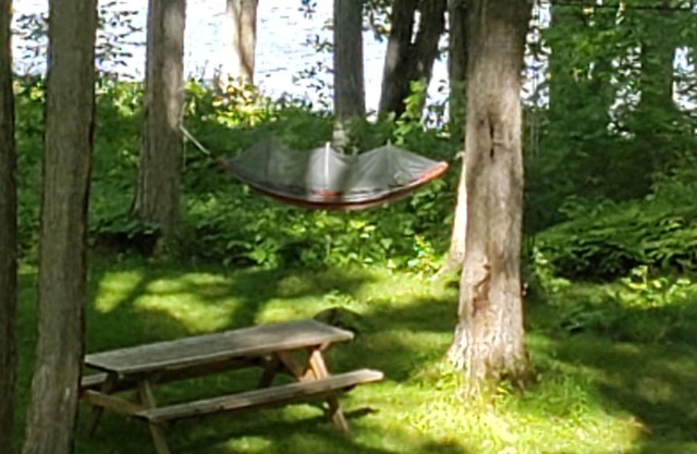 Private cozy cottage on Bobs Lake with boat launch