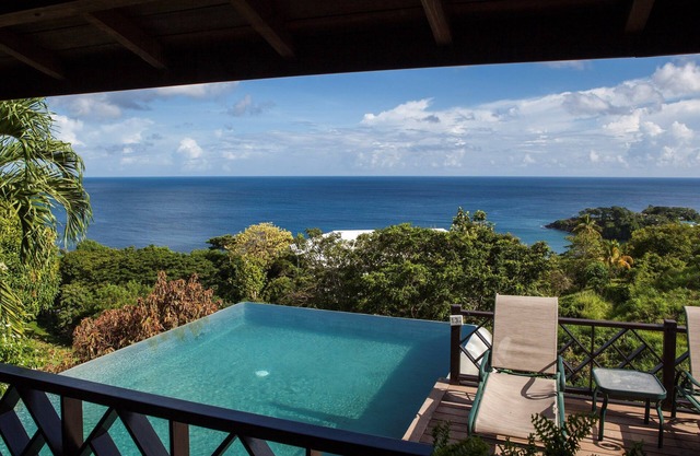 Private Infinity Pool Overlooking the Ocean