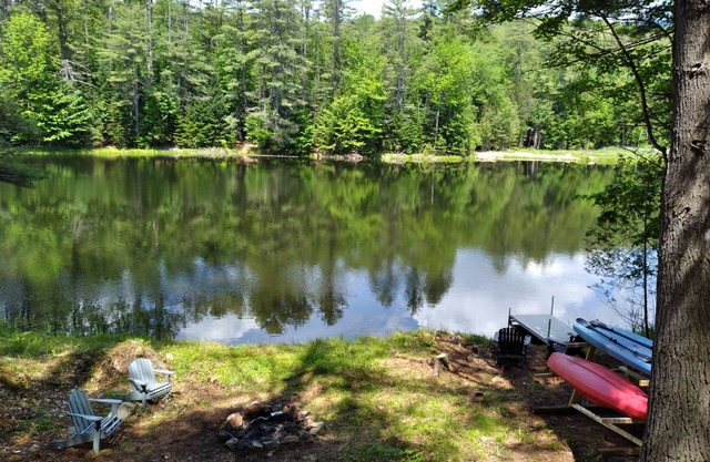 Private lakeside cabin for those looking for peace and quiet in Brant Lake.
