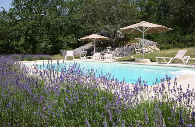 Property ENTIEREMENT PRIVATIVE on 4 hectares ! Heated pool-great luxury