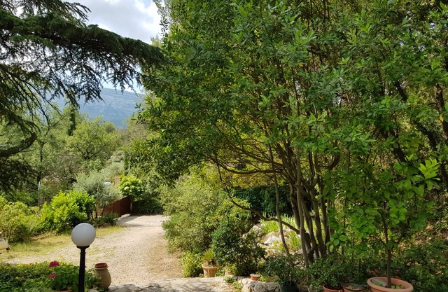 PROVENCAL MAS AT THE FOOT OF REGIONAL PARK