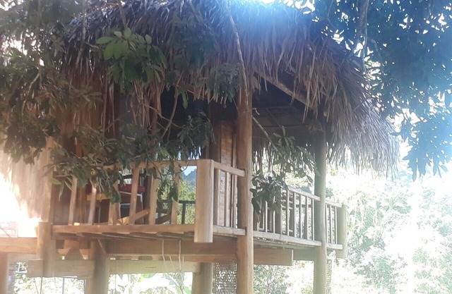 Pu luong Discovery Tree Bungalow