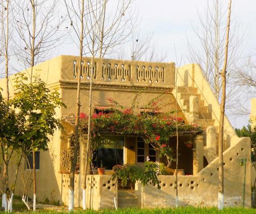 Punjab Village Farm near Amritsar