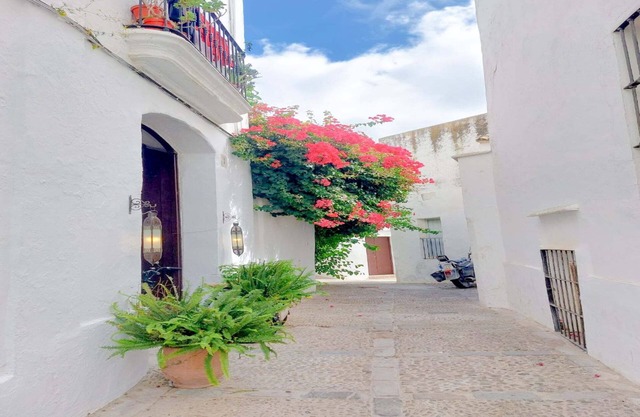 Pura Vida - Apartment In Vejer De La Frontera