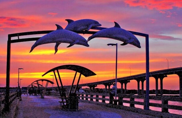 Quaint Peaceful Area! Close to Everything in St. Augustine!