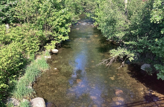 Quiet apartment near 3* hiking trails