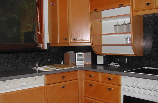 Quiet apartment in the countryside near Vienna