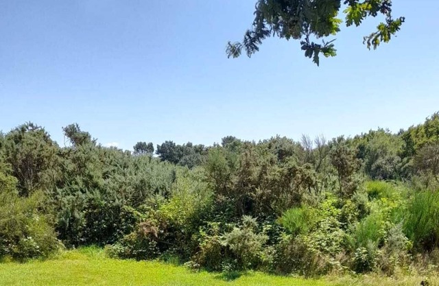 Quiet chalet near the Gulf of Morbihan