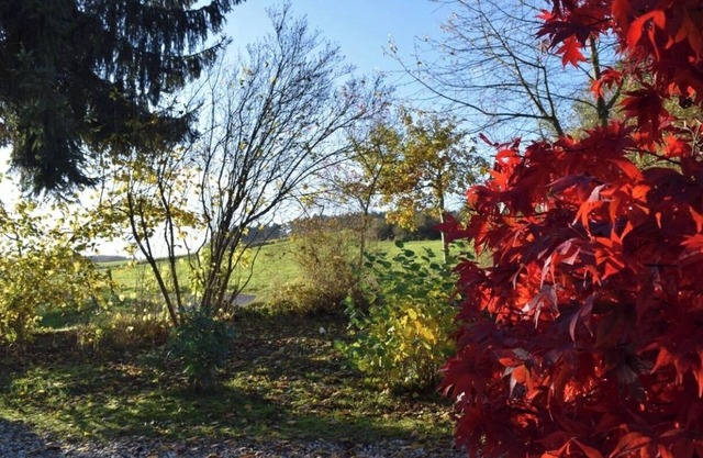 Quiet & cosy Apartment - country side in Niedersteinebach