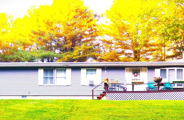 Quiet Cozy Home in God's Country Potter County PA - CHECK OUT SPECIALS