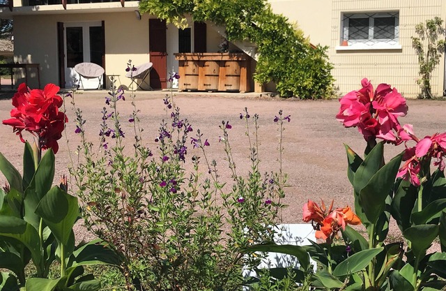 Quiet cottage with garden, parking. everything you need to relax!