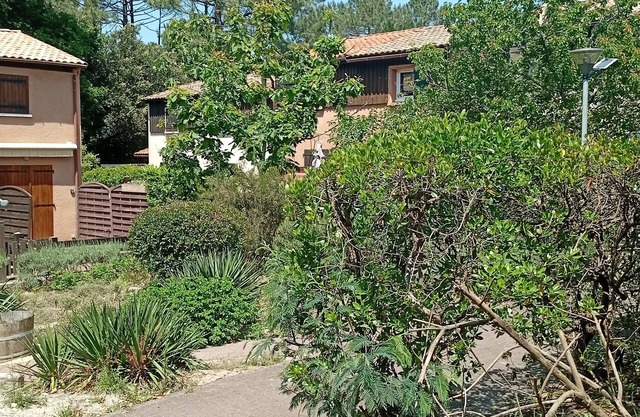 Quiet house in the pinede.