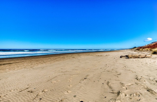 Quiet Oceanfront Getaway with Ocean Views, Walk to Beach - Dogs Welcome