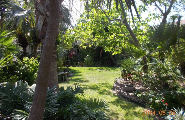 QUIET TROPICAL HIDEAWAY Beautiful garden, comfortable one bedroom retreat
