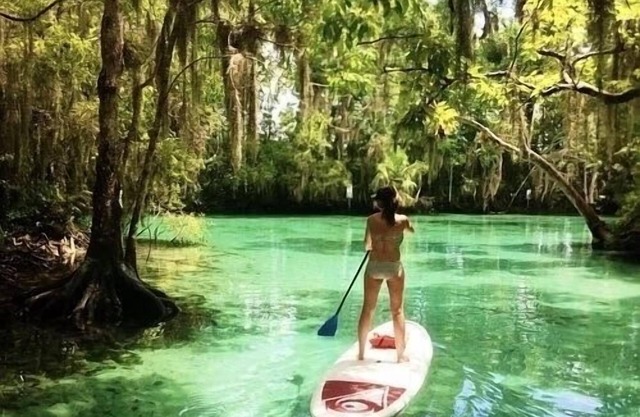 Rainbow River Experience.