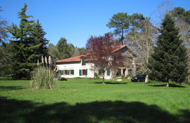 Rare forest house (1290ft², bedroom 485ft²), untouched nature with swimming lake
