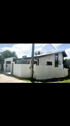 Rashi Home