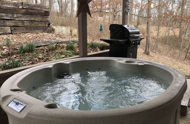 Ravine Trail Cabin at Burr Oak State Park, Drive in, Hike in, Boat in, Sleep in!