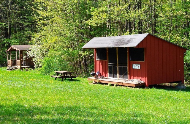 Red Eft Rustic Camping Cabin at Camp Earth Connection