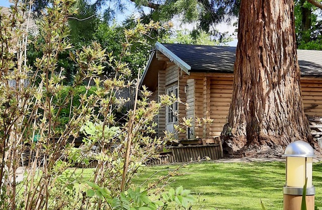 Redwood Lodge: unwind in your very own log cabin
