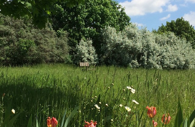 Refuge in the Uckermark + plenty of nature + idyll with garden sauna + stylish living