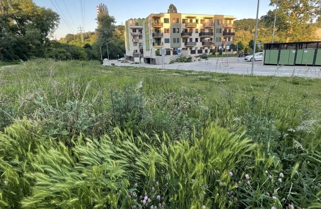 Relax in Nature, Close to Old Town, King Size Bed, Free Parking, Pet-Friendly