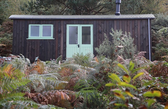 Relax & Recharge: Woodland Hideaway Shepherds Hut and Hot tub !