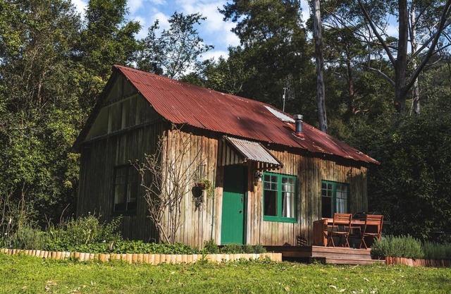 Relax to the sounds of the creek and birdlife in the rainforest at Jamberoo