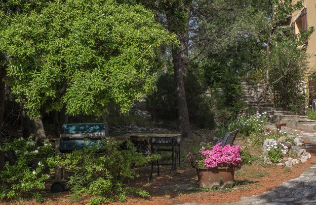 Relaxation, leisure and well being in pine forest, swimming pool, park, panoramic view
